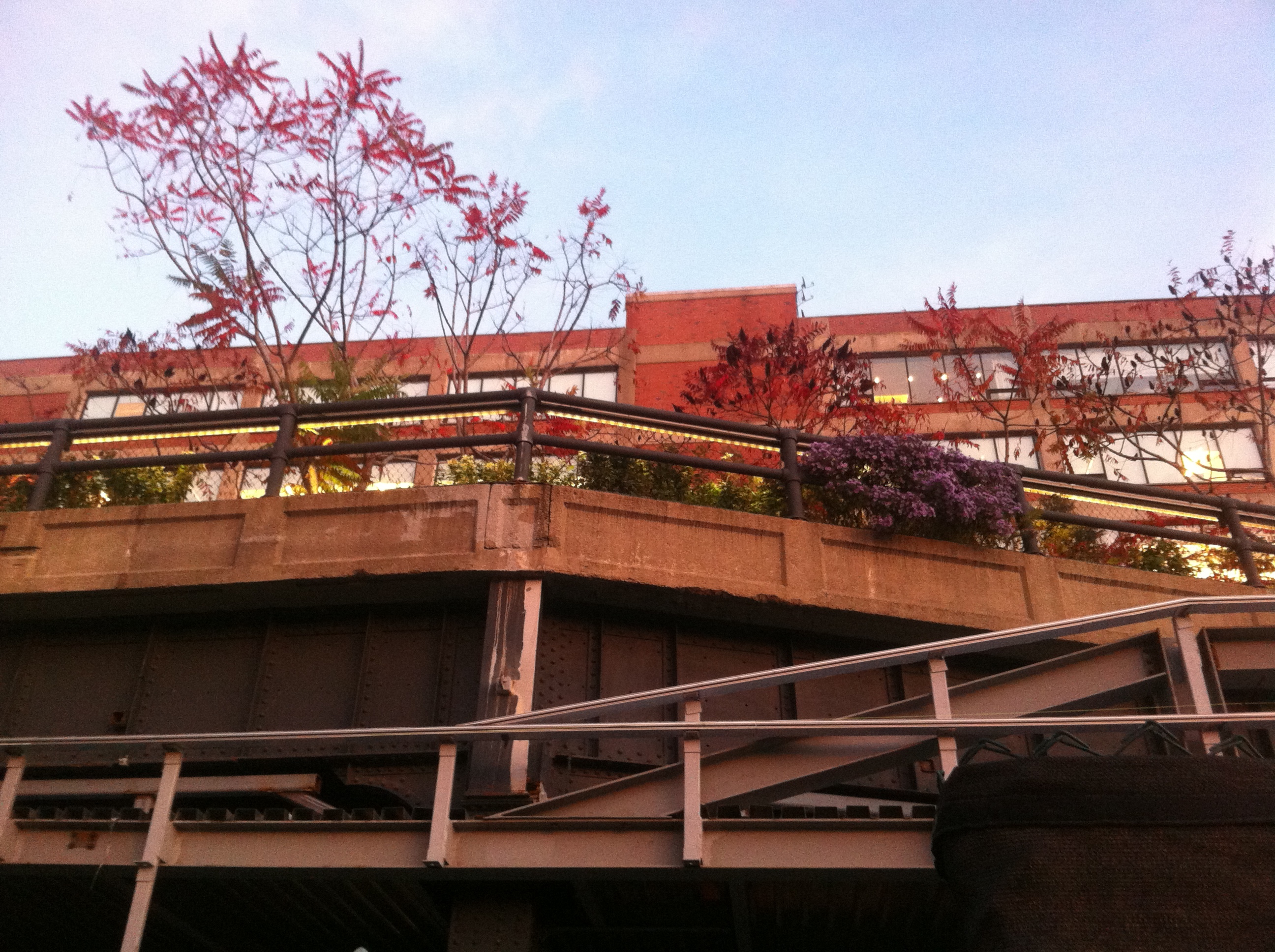 Highline public park NYC