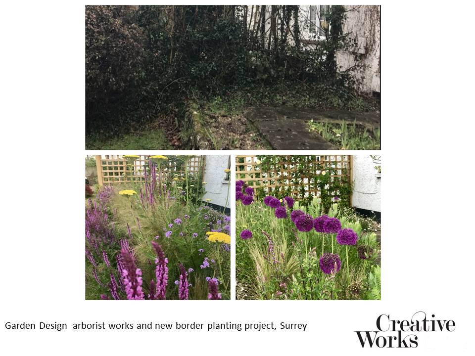 Cindy Kirkland Creative Works Garden Design, arborist works and new border planting project, Surrey