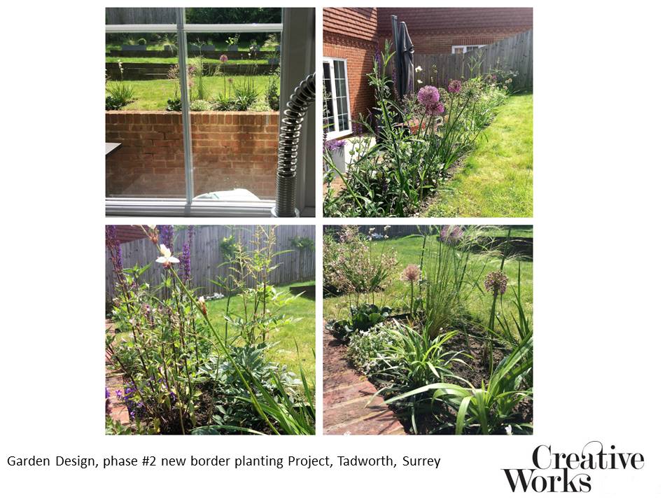 Cindy Kirkland Creative Works Garden Design, phase #2 new border planting Project, Tadworth, Surrey