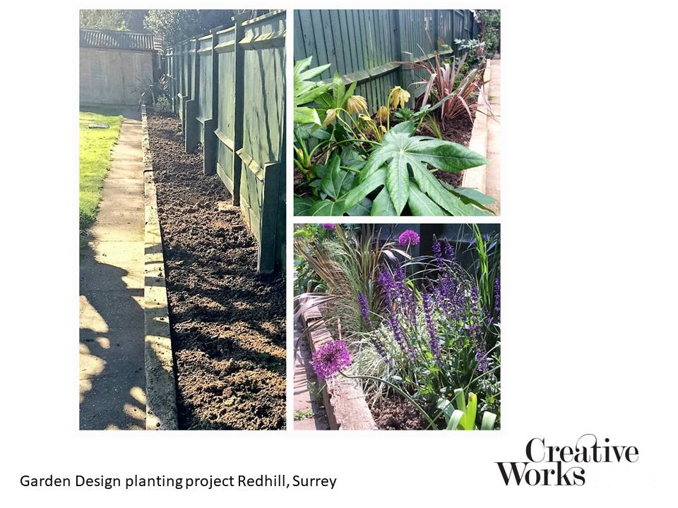 Cindy Kirkland Creative Works Garden Design planting project Redhill, Surrey