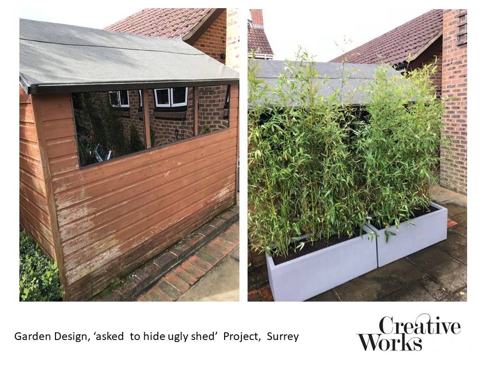 Cindy Kirkland Creative Works Garden Design, ‘asked to hide ugly shed’ Project, Surrey