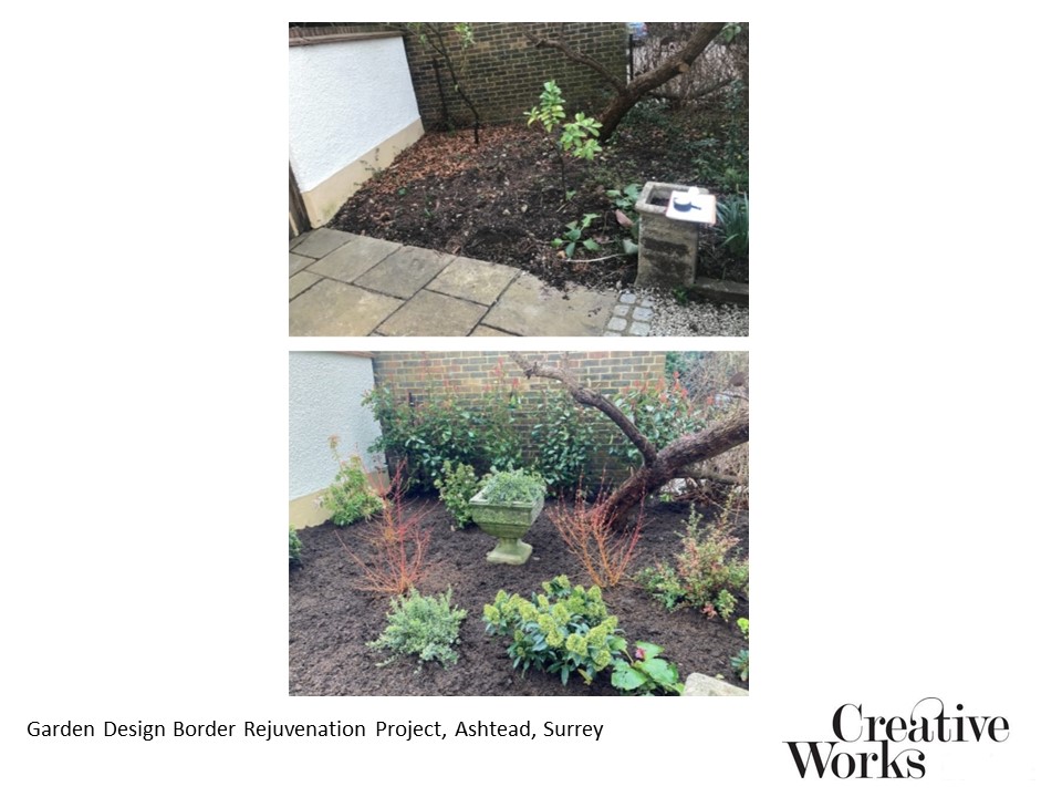 Garden Design Border Rejuvenation Project, Ashtead, Surrey