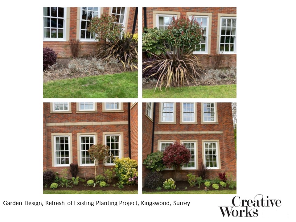 Garden Design, Refresh of Existing Planting Project, Kingswood, Surrey