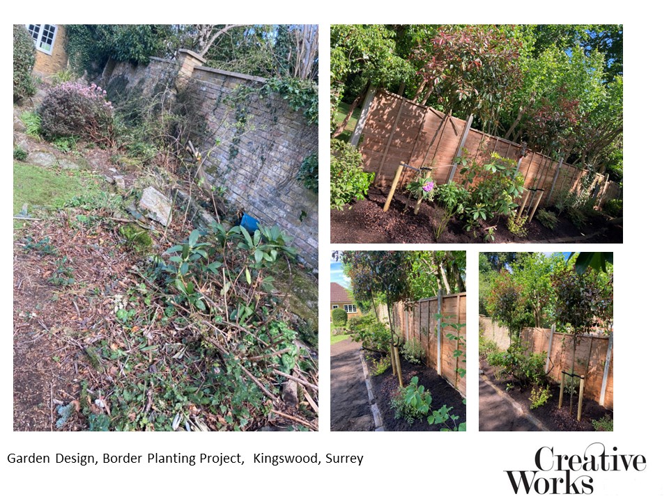 Cindy Kirkland, Garden Design, Border Planting Project, Kingswood, Surrey