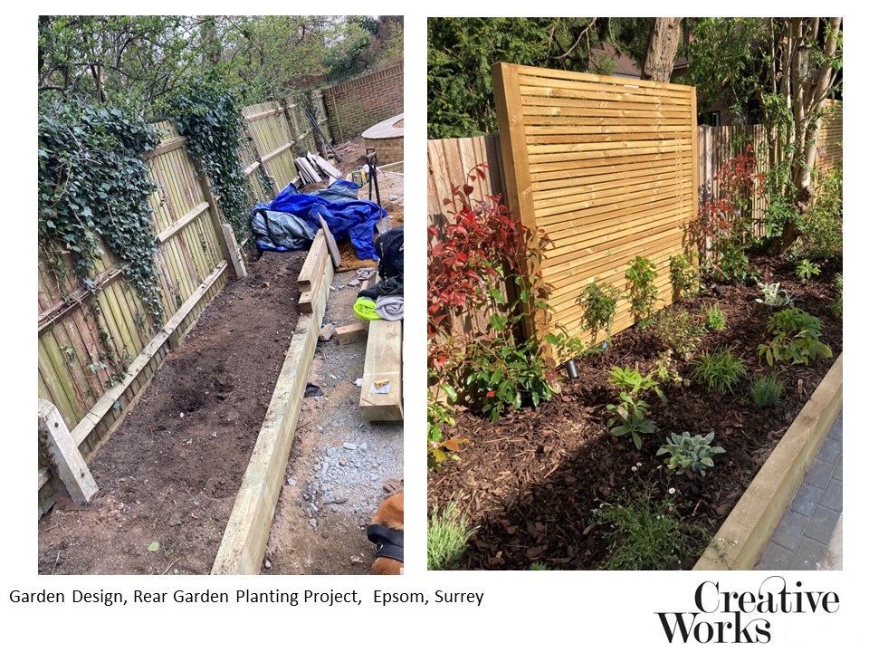 Cindy Kirkland, Garden Design, Rear Garden Planting Project, Epsom, Surrey