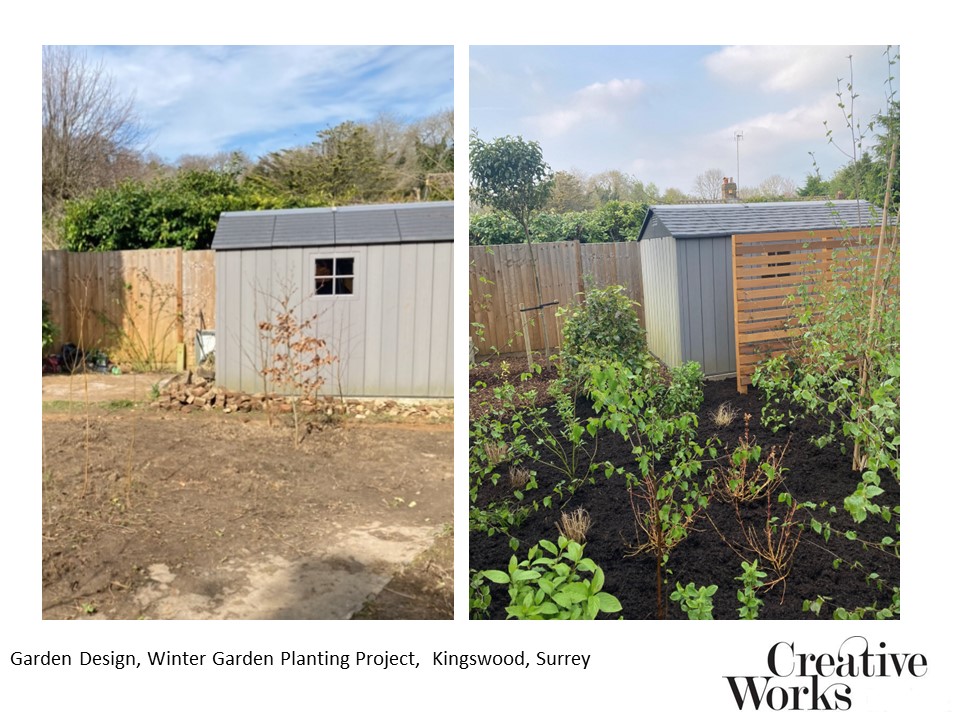 Cindy Kirkland Garden Design Garden Design, Winter Garden Planting Project, Kingswood, Surrey