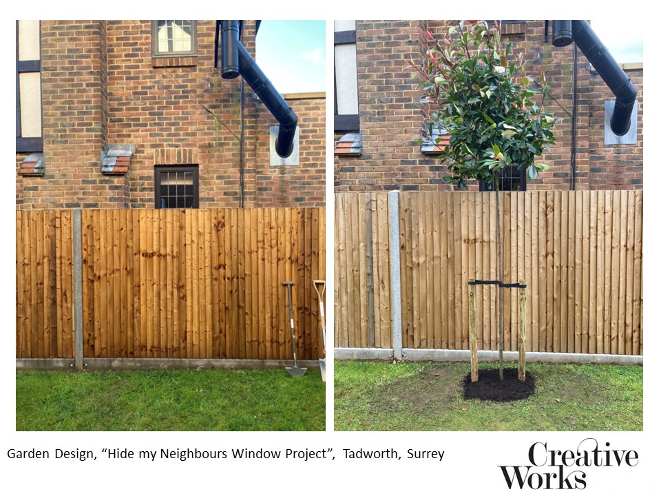 Cindy Kirkland at Creative Works Garden Design, “Hide my Neighbours Window Project”, Tadworth, Surrey